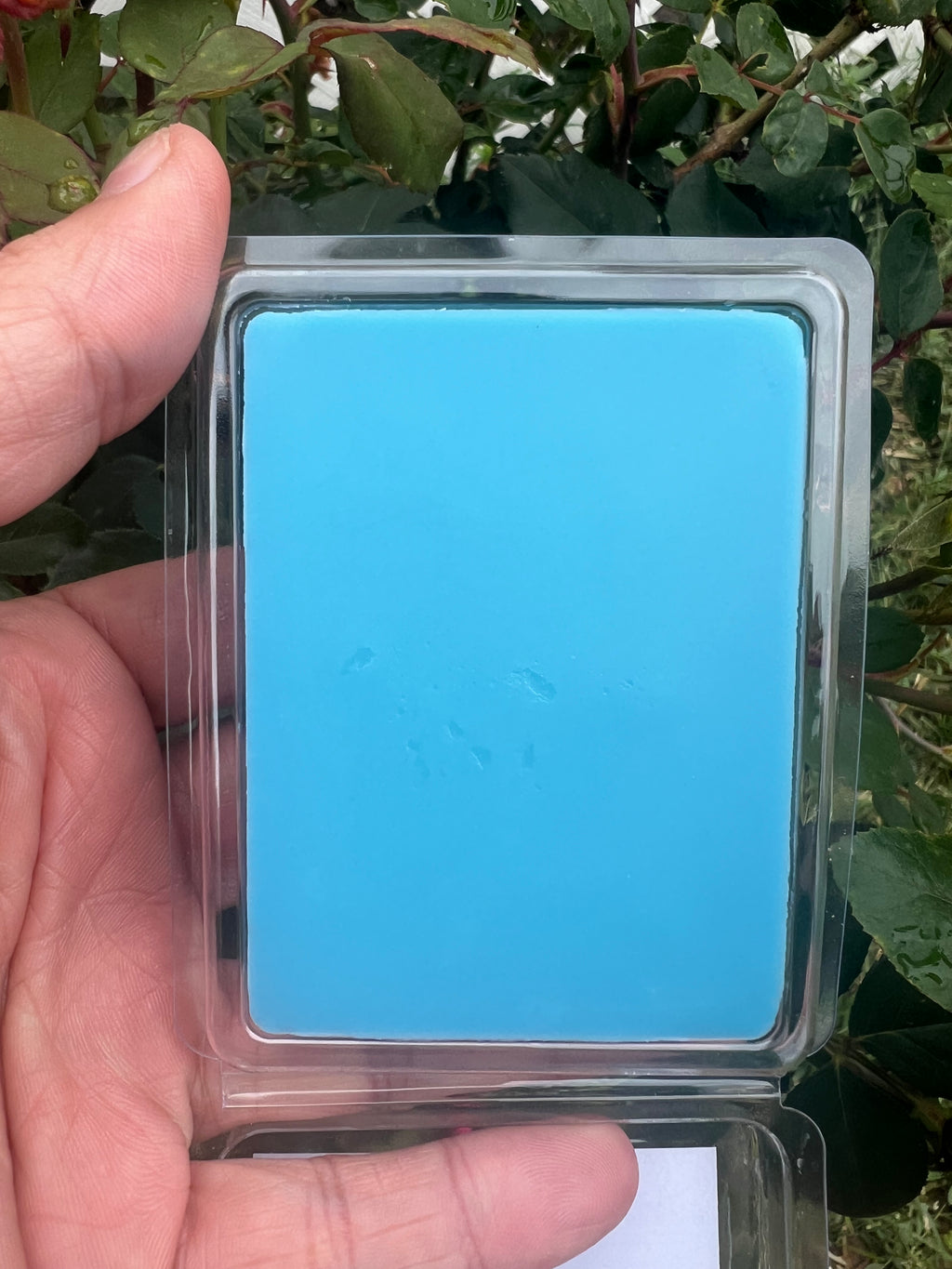 Clamshell of Beach Life soy and beeswax flameless cubes showing the smooth creaminess and bright color of the natural wax combo. 