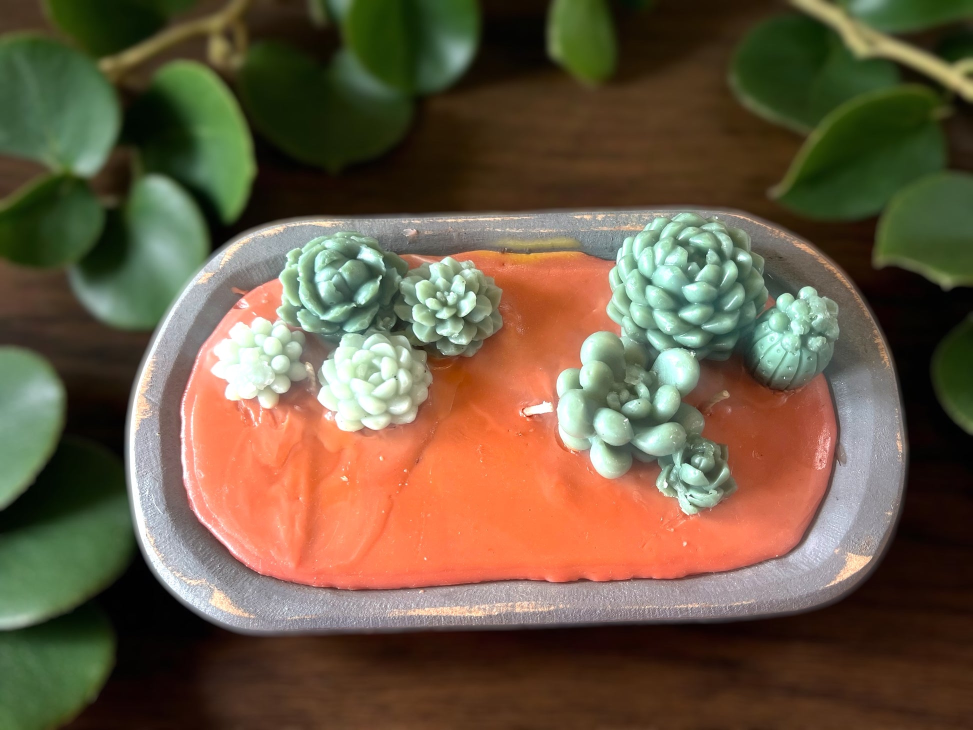 Succulent Dough Bowl Candle – Hand Carved Wooden Bowl | 3-Wick Highly Scented Candle | 16 oz | Rustic Home Décor